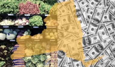 New York counties weigh property tax hikes amid SNAP cuts : Investigative Post