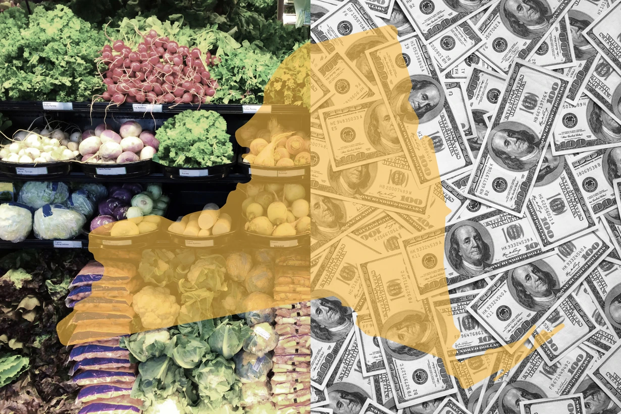 New York counties weigh property tax hikes amid SNAP cuts : Investigative Post