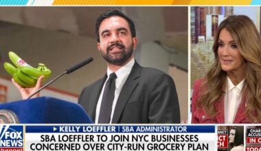 Kelly Loeffler slams Mamdani's city-run grocery store plan in NYC