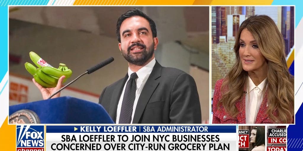 Kelly Loeffler slams Mamdani's city-run grocery store plan in NYC