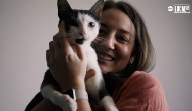 Meet the rescuers saving the stray cats of Brooklyn