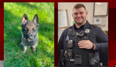 ‘Proud to carry on his name’: Brooklyn Heights welcomes K-9 named after fallen Euclid officer