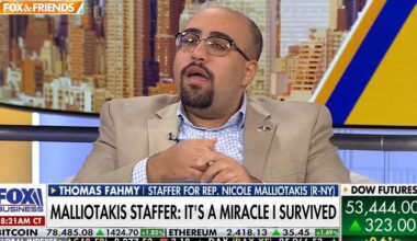 Nicole Malliotakis' staffer Thomas Fahmy survives Staten Island lightning strike