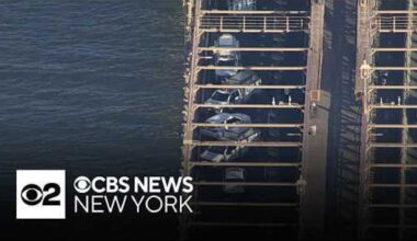 Man climbing Brooklyn Bridge cables fatally shot by NYPD