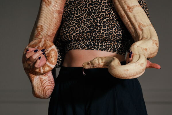 Performance artist Zoe Ziegfeld, who plays the part of a snake charmer, handles a snake during auditions to select a snake for a part in an adaptation of Mozart’s “Così fan tutte," at the Metropolitan Opera in New York, Friday, Aug. 28, 2026. (AP Photo/Andres Kudacki)