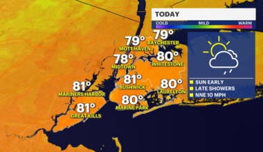 News 12 | Bronx | Your Daily Brooklyn Weather Forecast