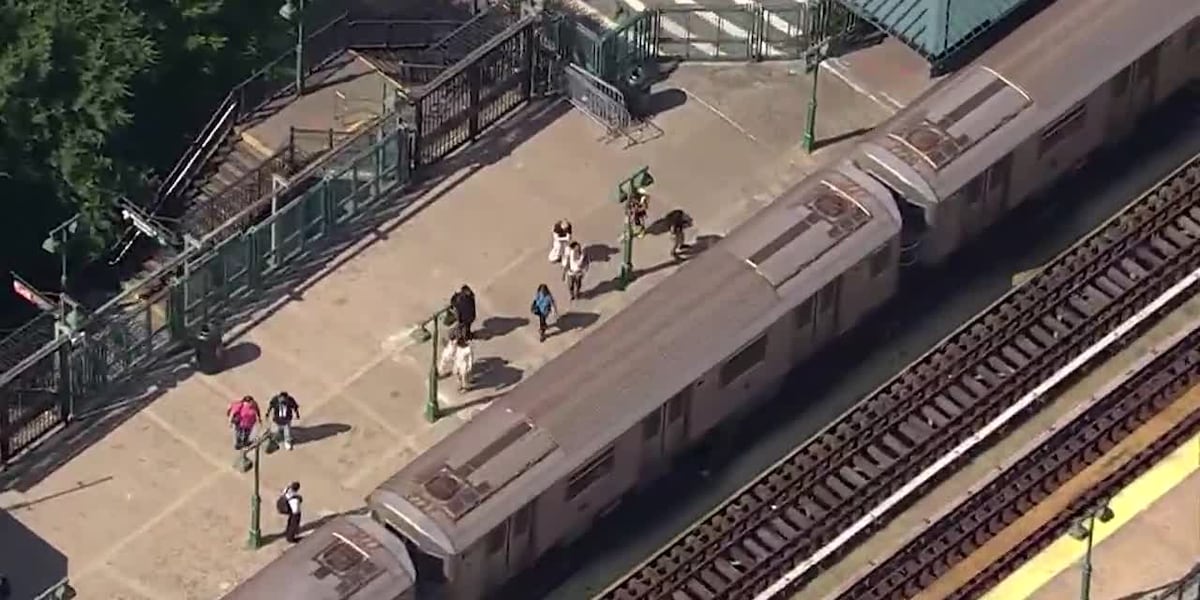 MTA worker hit, killed by train on the job