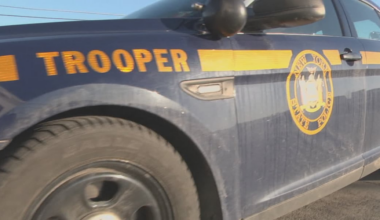Troopers stop truck hauling horses bound for Canadian slaughterhouse