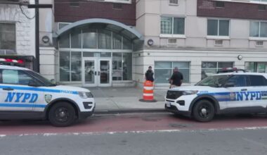 News 12 | Bronx | Man Wounded In Shooting Inside Melrose Apartment Building