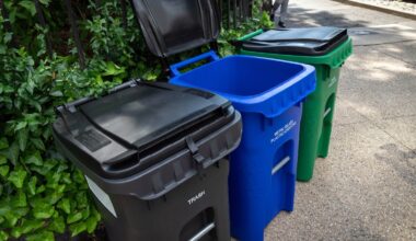 Owners of small NYC buildings face fines for failure to use official trash bins