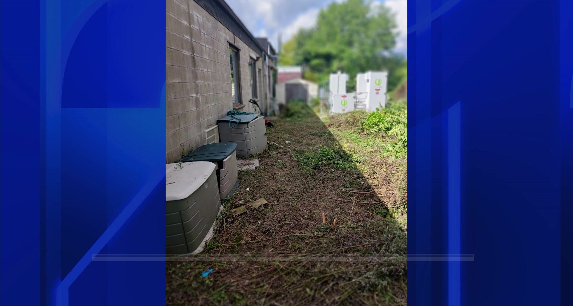 News 12 | Bronx | Throggs Neck Ambulance Corps Property Cleaned Up After Years Of Overgrowth