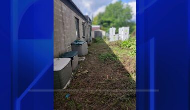 News 12 | Bronx | Throggs Neck Ambulance Corps Property Cleaned Up After Years Of Overgrowth