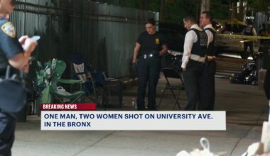 News 12 | Bronx | 3 People Injured After Late Night Shooting In The Bronx