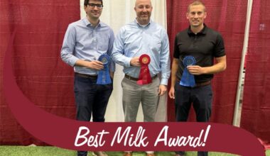 Stewart's wins New York best milk award for fifth year in a row