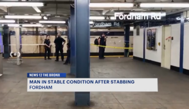 News 12 | Bronx | Man Stabbed Multiple Times On Board D Train In Fordham