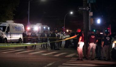 Wild Brooklyn crime spree: Cops shoot at teen suspect amid rampage of carjackings and armed robberies across borough