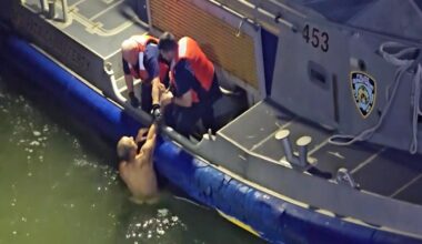 Video shows naked man being pulled from NYC's East River by cops