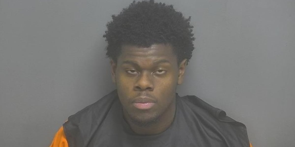 Man arrested in NYC brought back to Virginia on Campbell County indecency charges