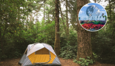Camp overnight in Queens' largest park for the first time ever this fall — how to score a free spot