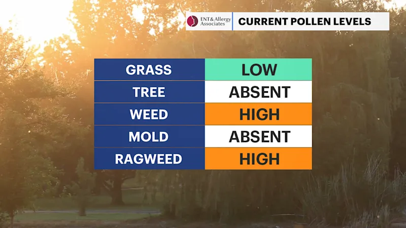 HVAG C_Pollen.png