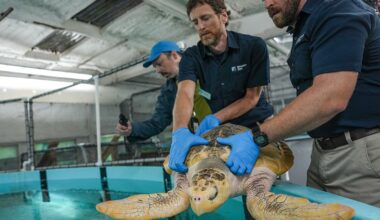 'Closer to extinction': NY fights Trump on changes to Endangered Species Act