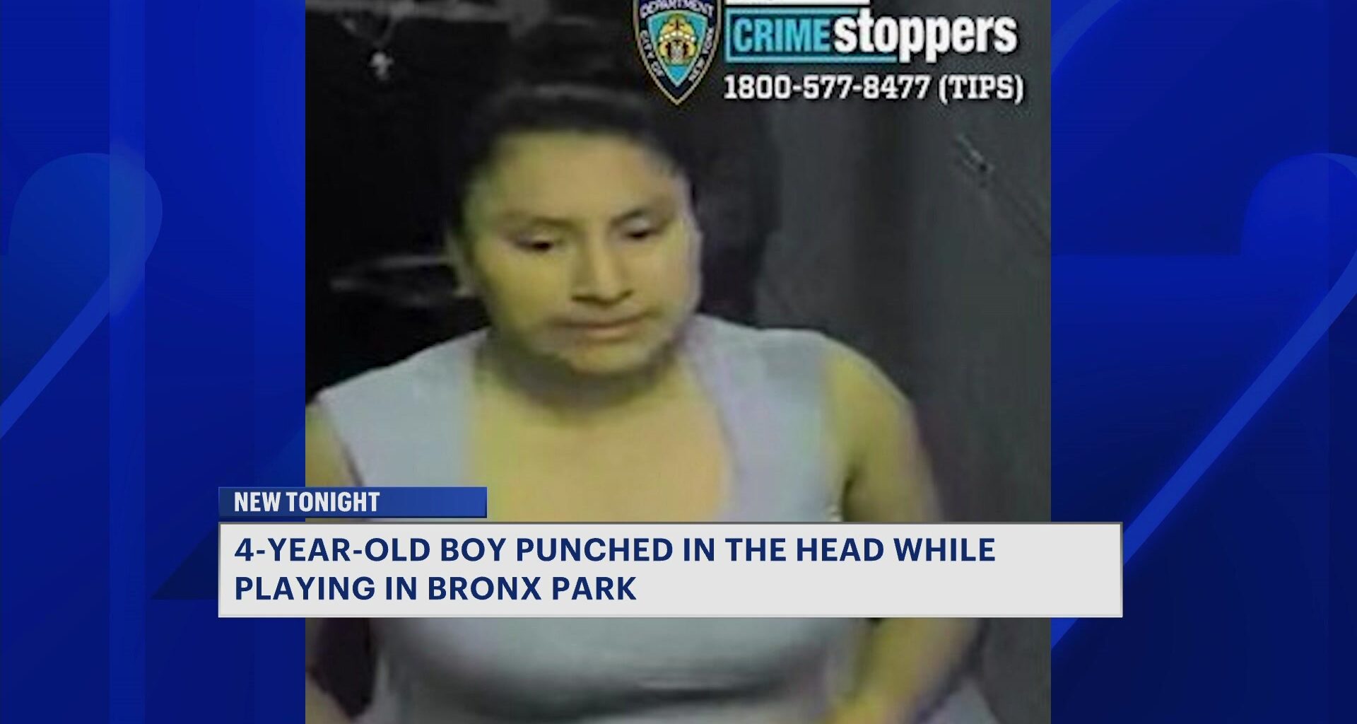 News 12 | Brooklyn | Bronx Mother Says Police Never Showed Up After 4 Year Old Son Was Allegedly Punched At Park
