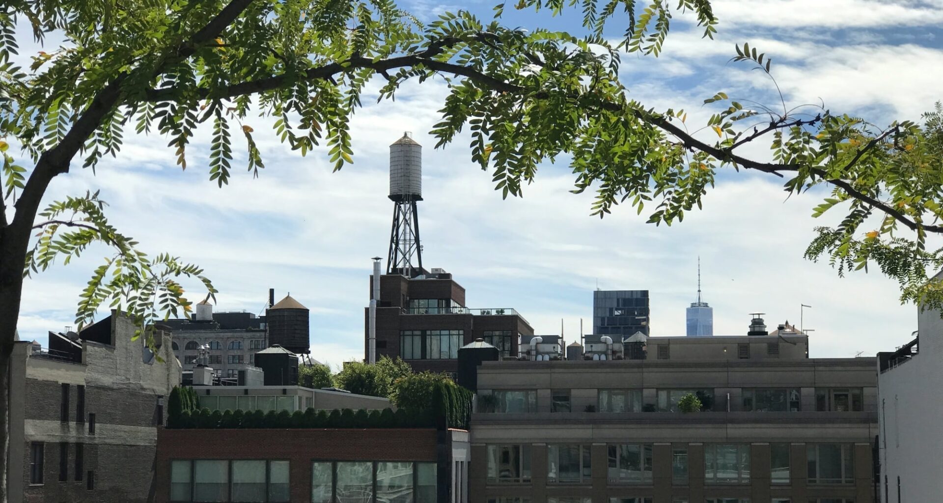 NYC detects second Legionnaires’ outbreak of summer in the South Bronx