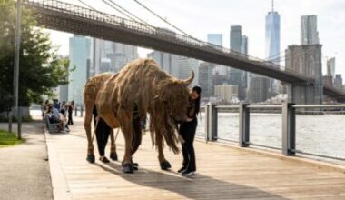 Tribeca Citizen | Forty buffalo will roam the streets of Tribeca on Friday