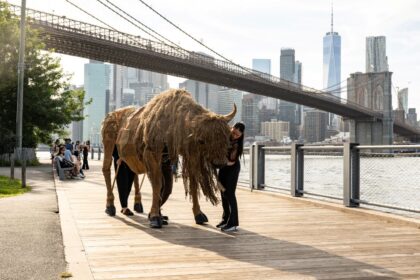 Tribeca Citizen | Forty buffalo will roam the streets of Tribeca on Friday
