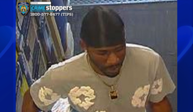 News 12 | Brooklyn | Credit Debit Card Thief At Large After Trying To Make Purchase At Best Buy In Brooklyn