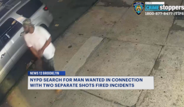 News 12 | Brooklyn | Man Wanted For Firing Gunshots In Crown Heights Fort Greene