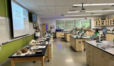 New York State Introduces Single High School Diploma For All