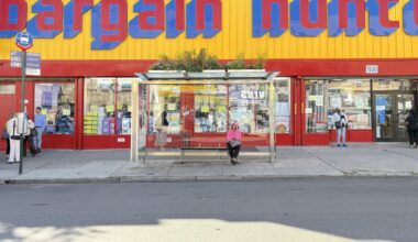 NYC officials want to put rain gardens on top of bus stops