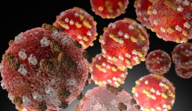new measles database