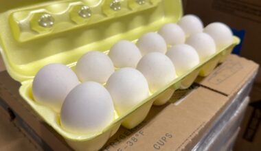 News 12 | Bronx | Long Island Food Banks Receive 972000 Eggs Through Settlement Helping Families Facing Food Insecurity