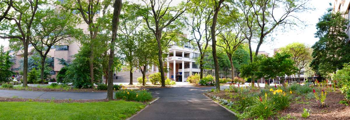 Niche ranks QCC as best community college in New York State – QNS