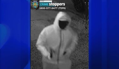 News 12 | Bronx | Group Of People Wanted For Burglarizing 8 Pharmacies Across New York City