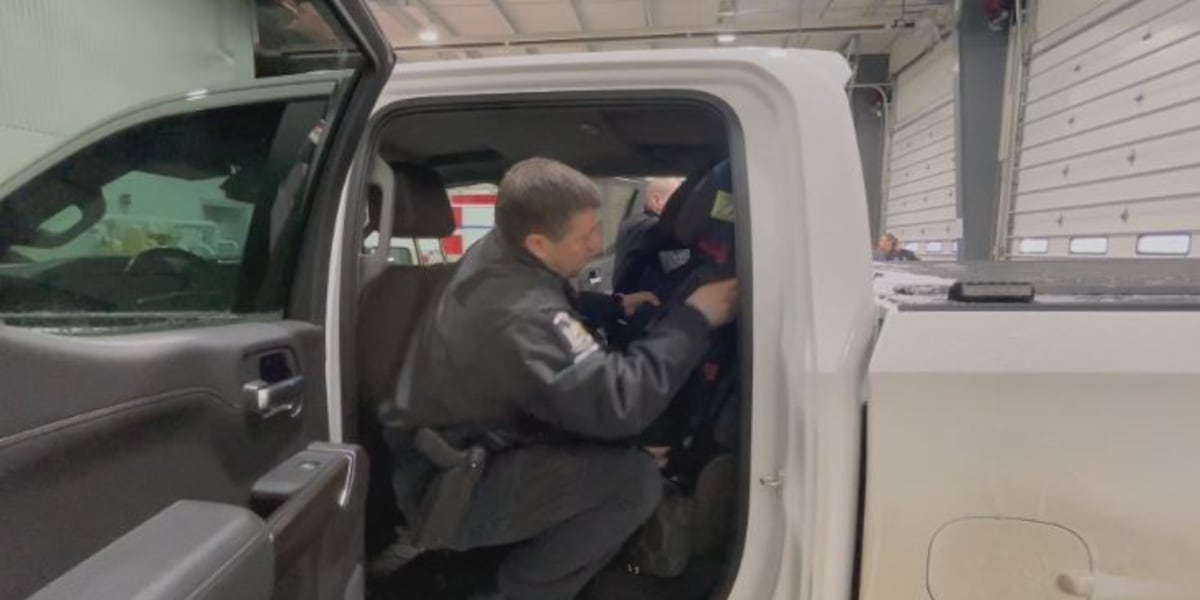 New York residents can get a free car seat safety inspection
