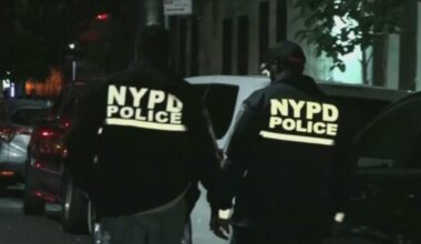 29-year-old man fatally shot in the torso in the Bronx; no arrests made