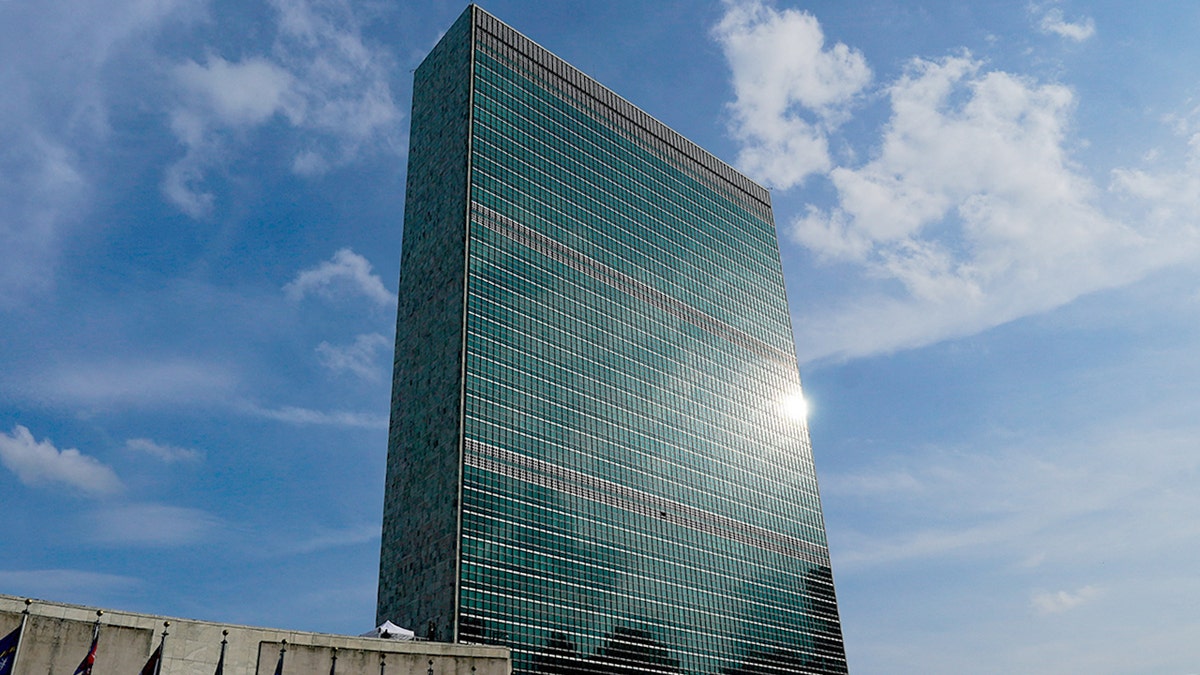 United Nations General Assembly