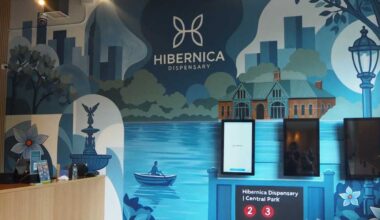 Bronx-based cannabis dispensary Hibernica opens new store in Harlem