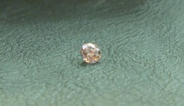 Lost a diamond? Couple finds rare stone on Times Square restaurant floor – NBC New York