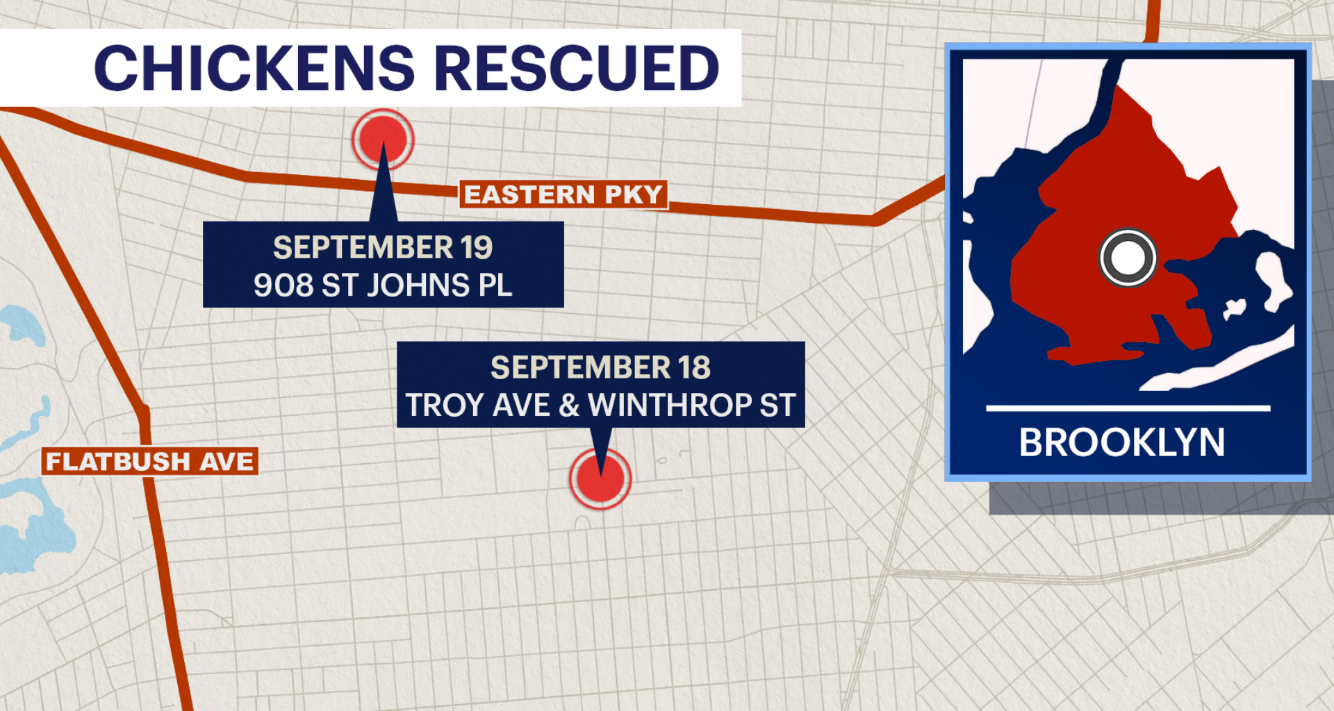 News 12 | Connecticut | Dozens Of Chickens Alive And Dead Found In Separate Abandoned Trucks In Brooklyn