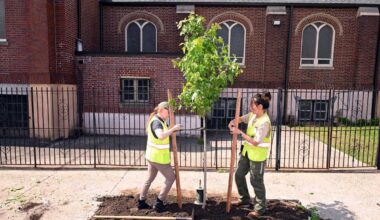 Throwing shade: Mamdani marks NYC’s biggest tree-planting year in a decade