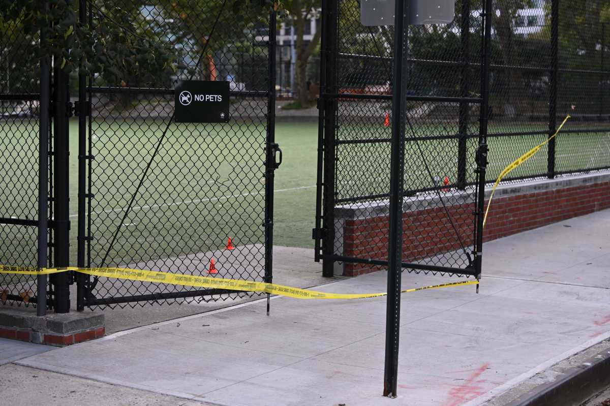Man shot to death in Downtown Brooklyn Park identified, two suspects on the loose