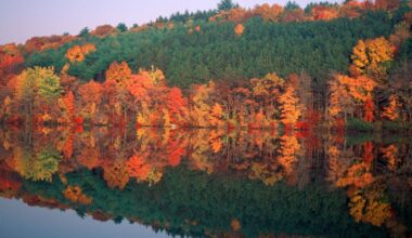Fall foliage forecast for New York and New Jersey