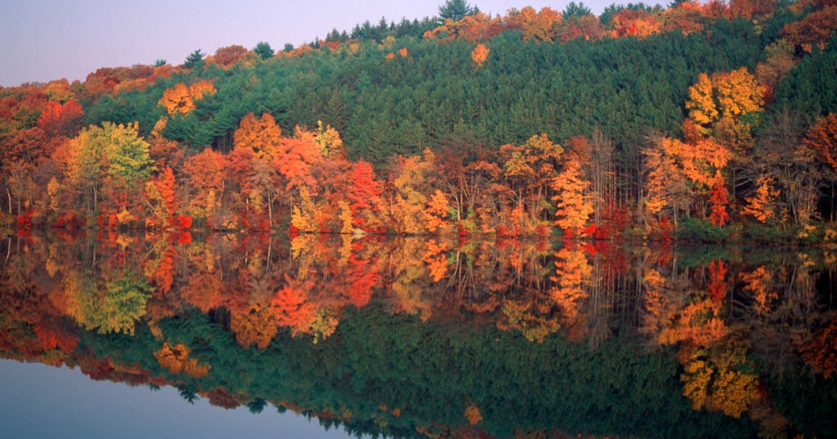 Fall foliage forecast for New York and New Jersey