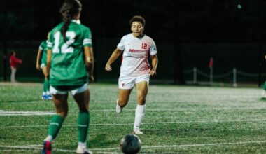 Red Foxes Draw with Manhattan