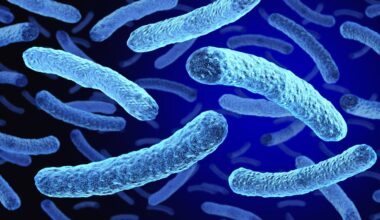Tests confirmed live Legionella at 7 South Bronx sites amid Legionnaires' outbreak