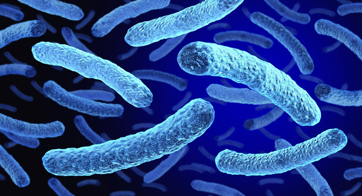 Tests confirmed live Legionella at 7 South Bronx sites amid Legionnaires' outbreak